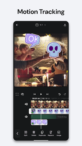 Tracket: Motion Stabilization ПК