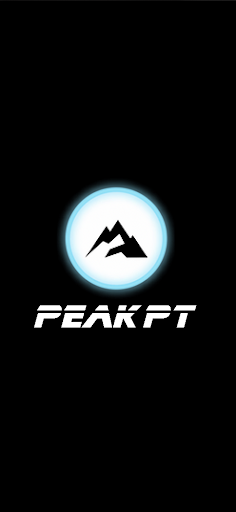 PEAK PT电脑版