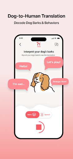 Traini-Dog Translator&Training পিসি
