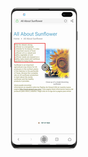 Camera Screen Translator -instant translation الحاسوب