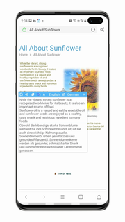 Camera Screen Translator -instant translation الحاسوب
