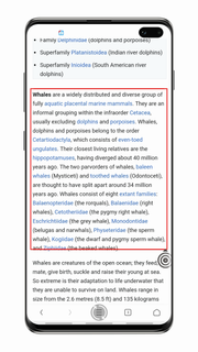 Camera Screen Translator -instant translation الحاسوب