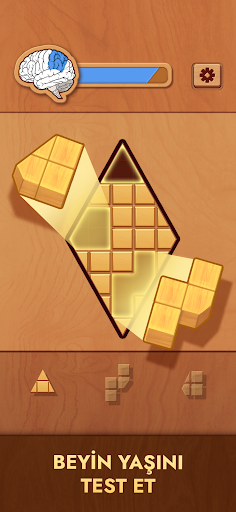 Tahtadoku - Woodoku PC