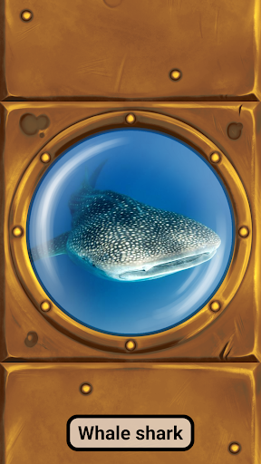 komputer Sea Animal sounds for toddlers