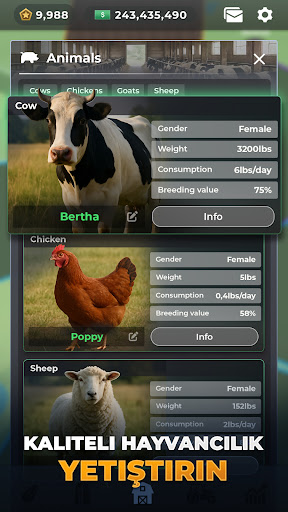 Farm Manager - 2025