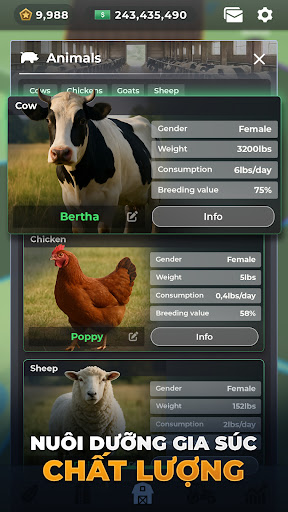 Farm Manager - 2025