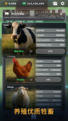 Farm Manager - 2025
