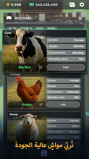Farm Manager - 2025