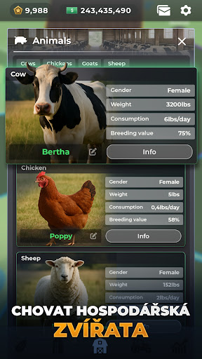 Farm Manager - 2025