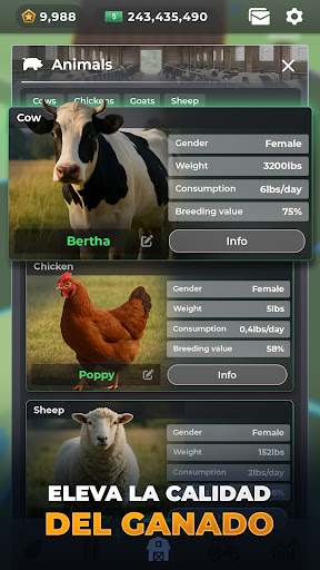 Farm Manager - 2025