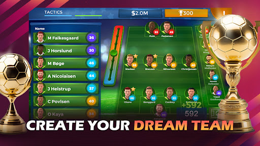 Pro 11 - Football Manager Game PC