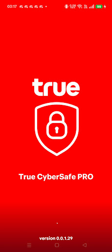 True CyberSafe PRO PC