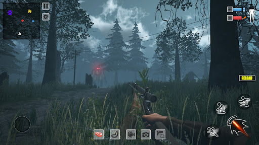 Bigfoot Hunting