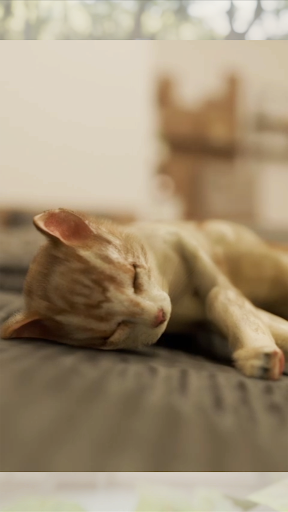 komputer 脱出ゲーム 寝室には猫がいた