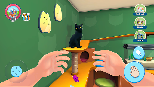 Cat Simulator: Little Kitty 3D PC