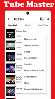 Tube Master Video Downloader PC