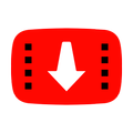 Tube Video Downloader Master