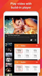 Tube Video Downloader Master PC