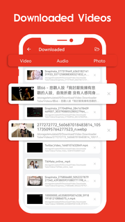 Tube Video Downloader Master PC