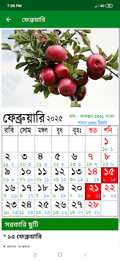 Calendar 2025 - (EN,BN,AR) পিসি