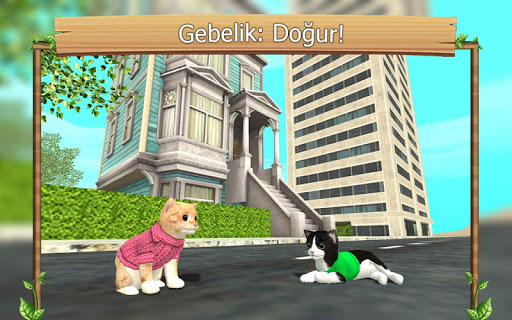 Çevrimiçi Kedi Simülatörü PC