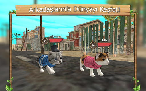 Çevrimiçi Kedi Simülatörü PC