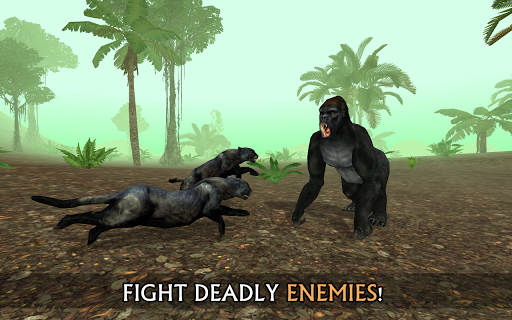 Wild Panther Sim 3D