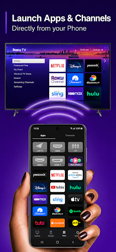 komputer Roku TV Remote