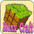 Bloxx Craft Girl