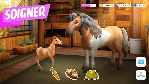 Horse Haven World Adventures PC