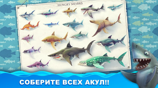 Hungry Shark World ПК