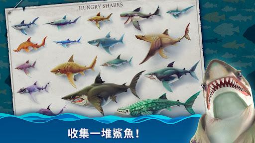 飢餓鯊：世界 (Hungry Shark World)電腦版