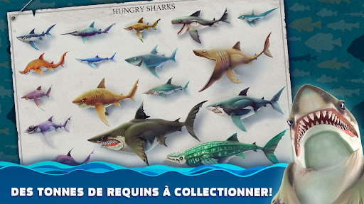 Hungry Shark World