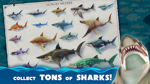 Hungry Shark World پی سی