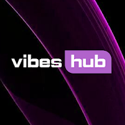 Vibes HubPro الحاسوب