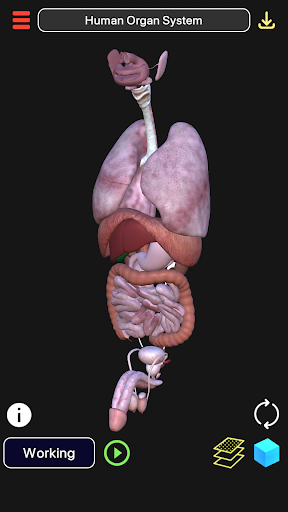 3D Biology + PC