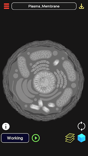 3D Biology + PC