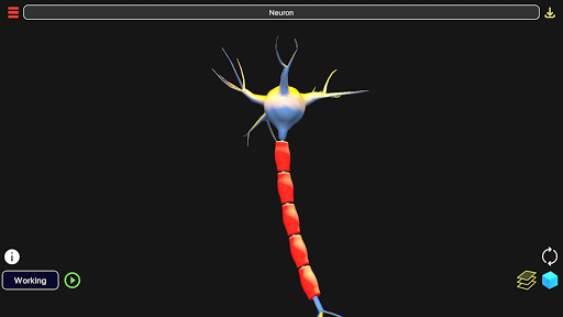 3D Biology + PC