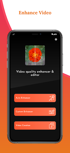 Video quality enhancer-editor PC