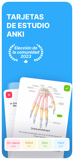 Anki Pro: Flashcads de estudio PC