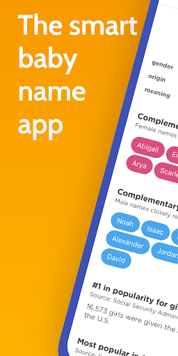 Baby Name Genius by Nametrix PC