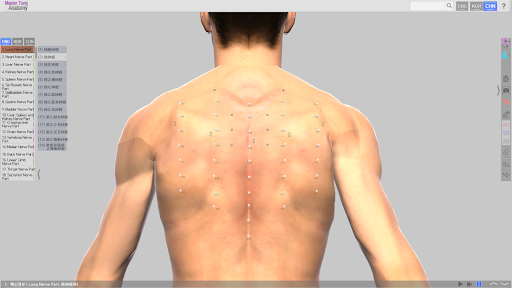 Master Tung`s Acupoint Anatomy PC