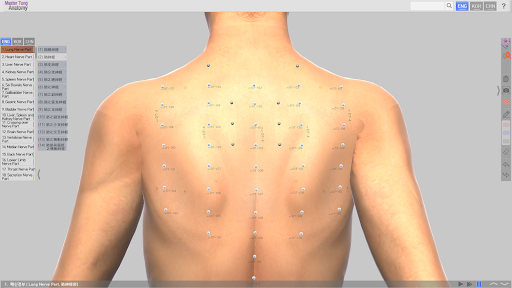 Master Tung`s Acupoint Anatomy PC