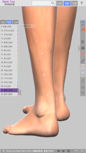 Master Tung`s Acupoint Anatomy PC