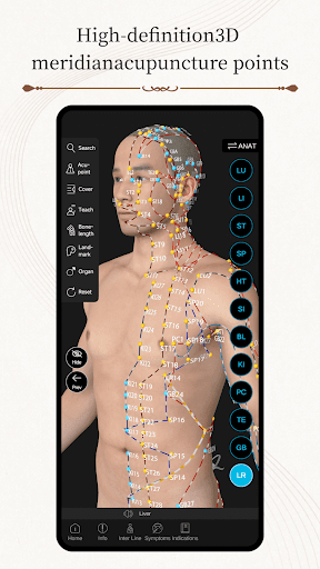 Acupuncture Master PC