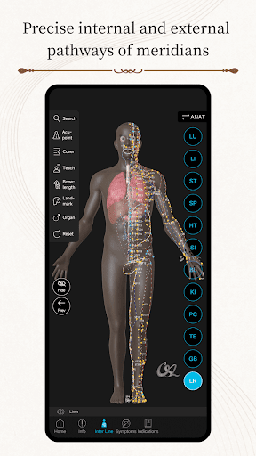 Acupuncture Master پی سی