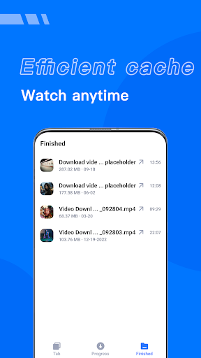 Video Downloader PC