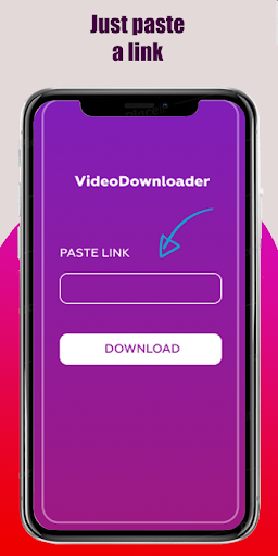 SSS Video Downloader PC