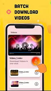 Downloader - Video Downloader PC