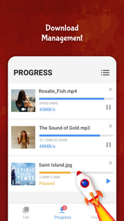All Video Downloader PC